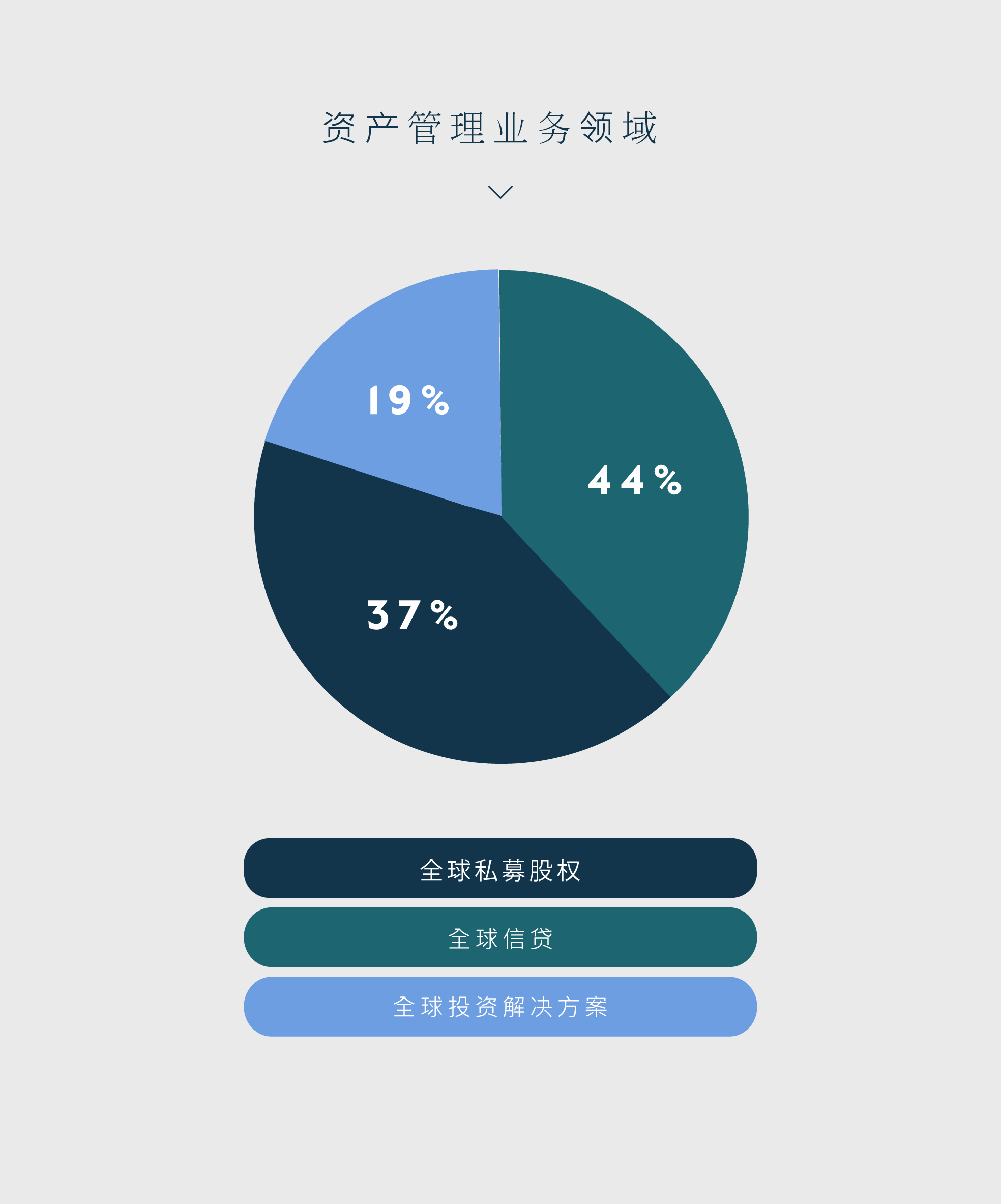 AUM by Segment 2024 Q1 - Chinese